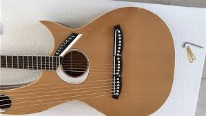 Akustisk Dubbelhals Gitarr med 6/6/8 Strängar