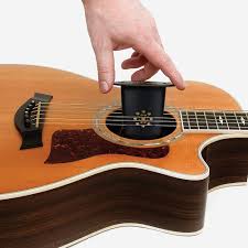 Planet Waves Akustisk Gitarr Luftfuktare