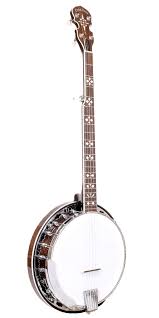 Goldtone Bg-150F Resonator Banjo - Bluegrass Special