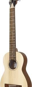 APC Instruments TR100 ST Resegitarr