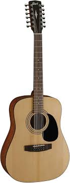 Dreadnought 12-strängad akustisk gitarr