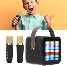 Bärbar Karaoke för Barn och Vuxna med Trådlösa Mikrofoner