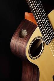 Walden WAB1EH Baritone - Akustisk Elgitarr