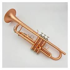 Brun Nybörjartrompet för Musikälskare