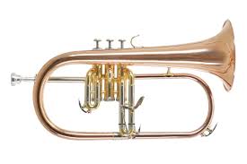 Roy Benson Bb Valthorn FH-302G med 11mm MS-borr