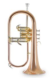 Roy Benson Bb Valthorn FH-302G med 11mm MS borr