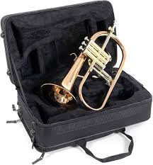 Roy Benson Bb Valthorn FH-302G med 11mm MS borr