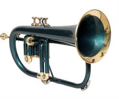 ROSE MUSICALS Flugelhorn Bb - Grön Mässing