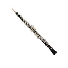 Dzdzdz Oboes Nybörjaroboe i C - Högkvalitativ och Lättspelad