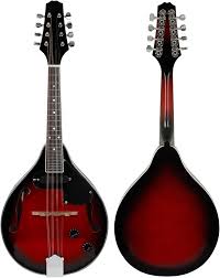 Nybörjarmandolin 8-strängad