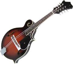 F-typ 8-strängad Mandolin