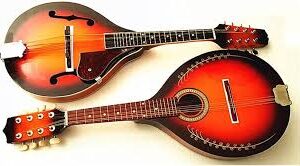Zengxue Mandolin Guitar - 8 Strängar